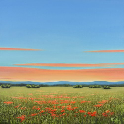 Spring Poppies - Colorful Flower Field Landscape by Suzanne Vaughan