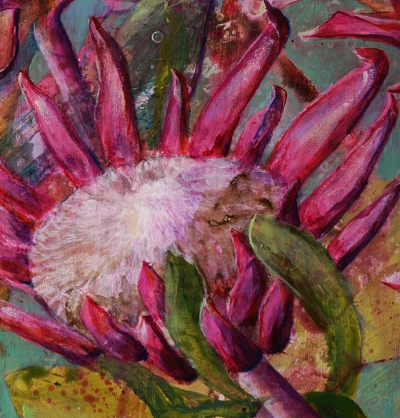 Protea Symphony I.