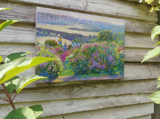 Buzkovy garden on the skhila of the Dnieper