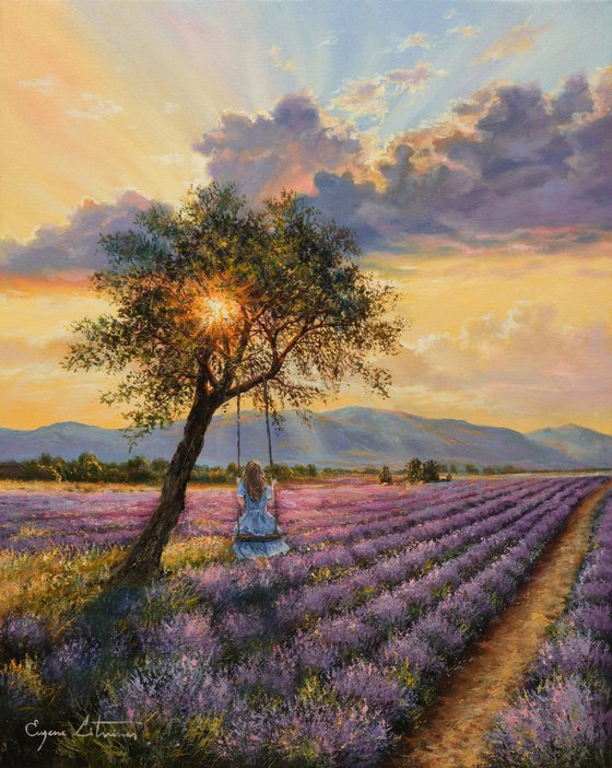 lavender field