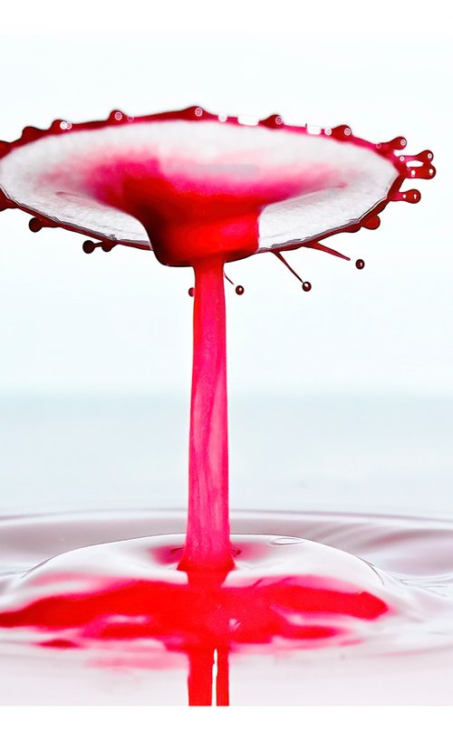 'Bloody Carousel 2' - Liquid Art Waterdrop Collection by Michael McHugh