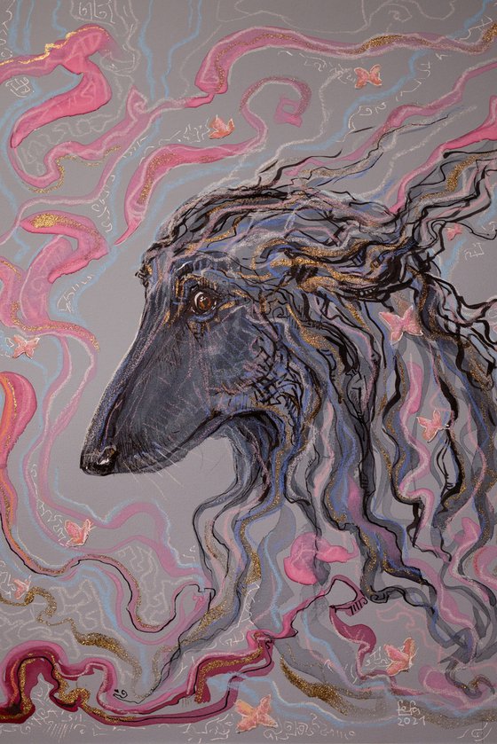 "Afghan hound"