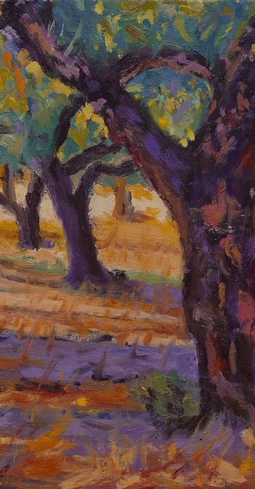 Olive Tree Grove by Daniel Fishback