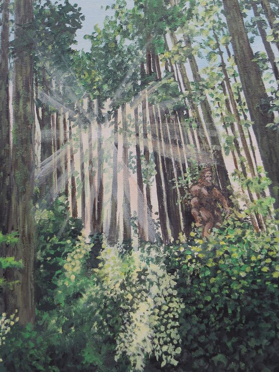 Sasquatch Country