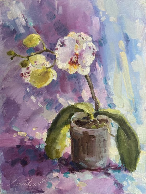 Orchid flower