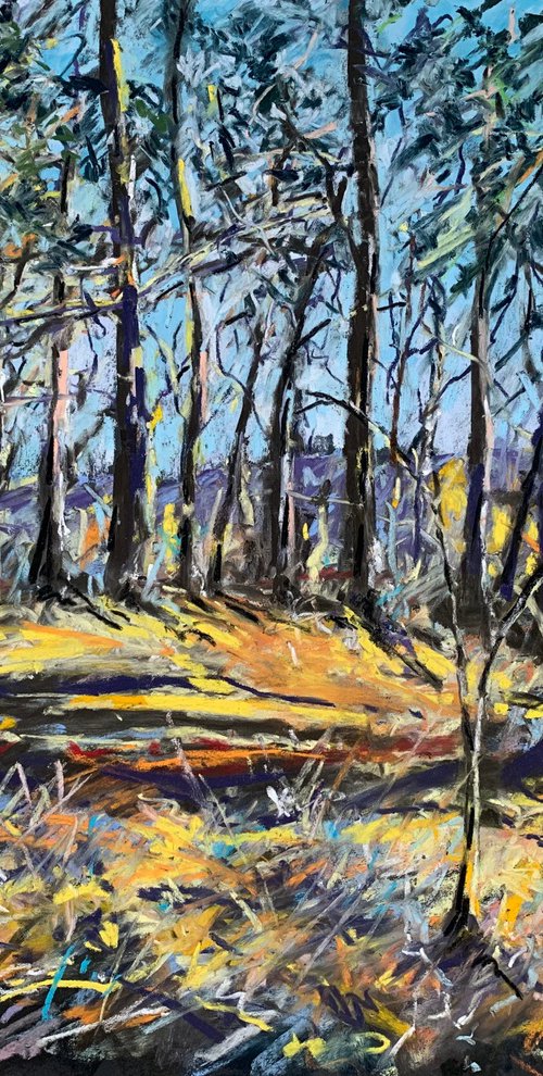 Woodland Walk by Andrew Moodie
