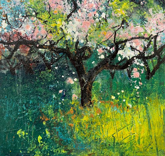 Orchard Series - Spring blossom