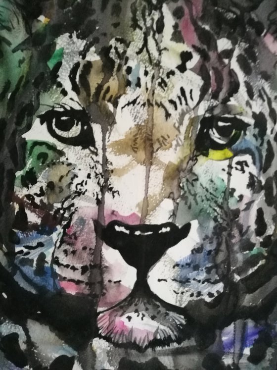 Leopard ( on paper )