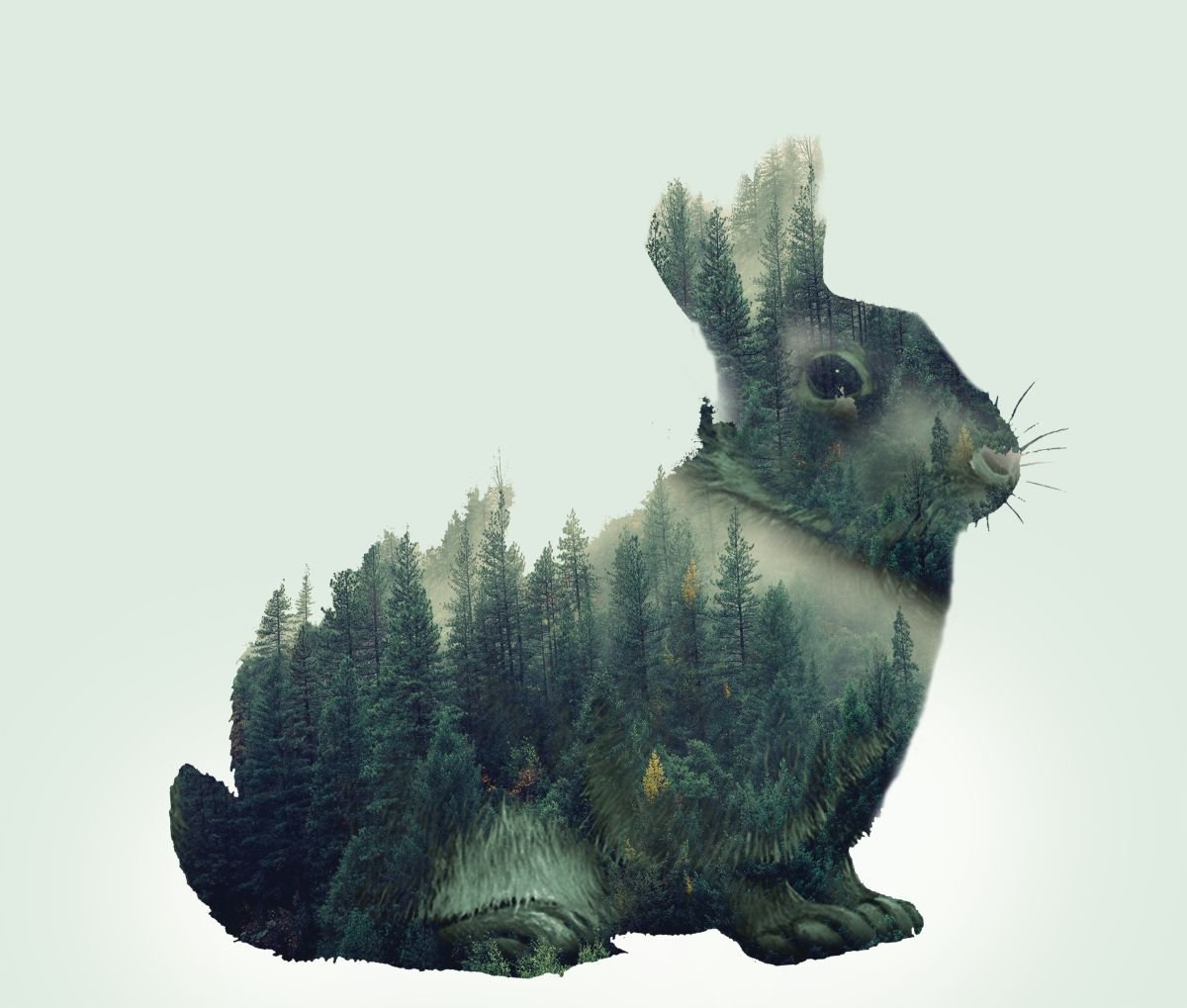 Illustrative Animal Photograph By Srdjan Jevtic, 39 X 33", Rabbit, Original Artwork