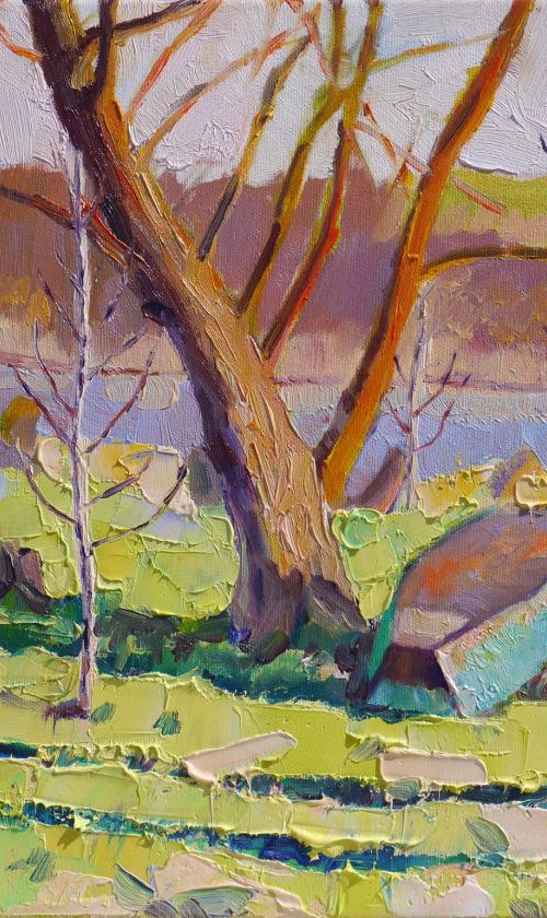 Plein air 03-04-2017 (sunny evening) by Dima Braga