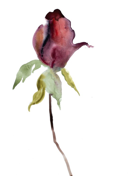 Rose Study No. 36