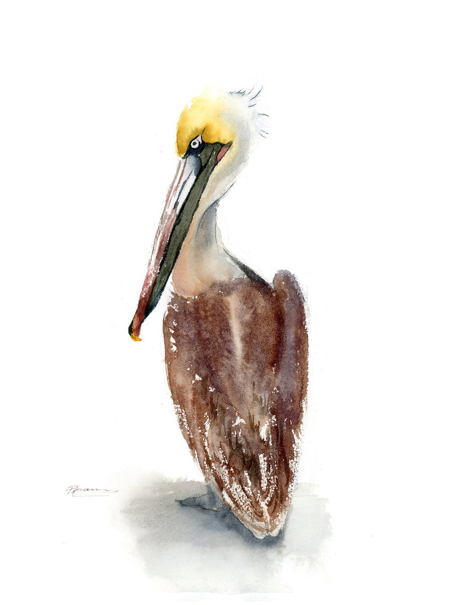 Brown Pelican (2 ) - Original Watercolor Painting by Olga Shefranov (Tchefranova)