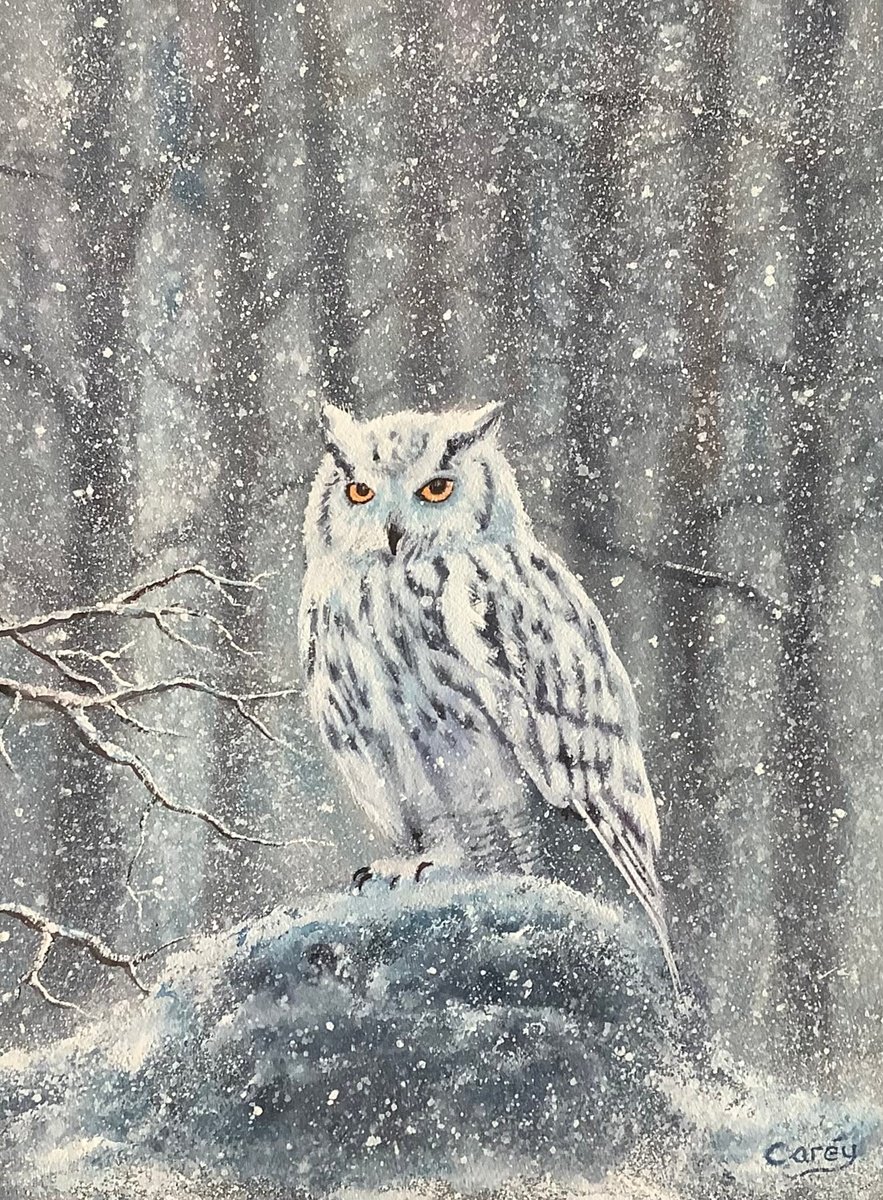 Photorealistic Animal Watercolour By Darren Carey, 11 X 15, Siberian White Owl, Original Artwork