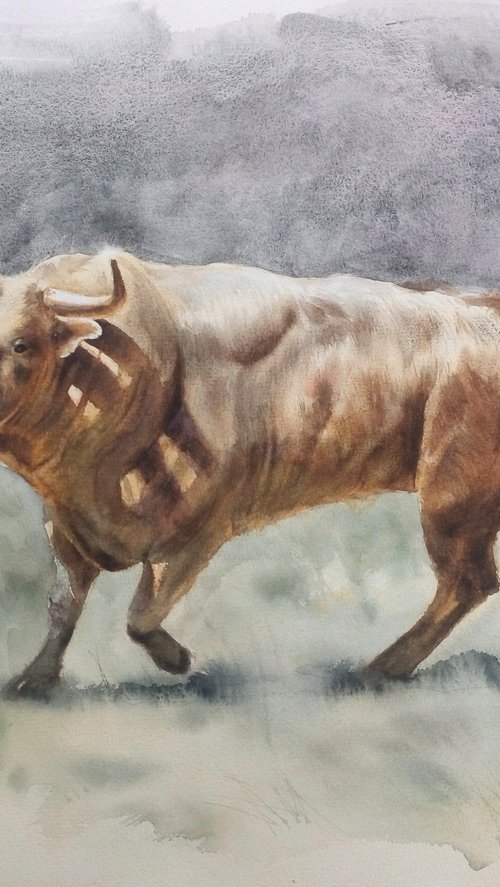 Bull watercolor painting - 202 by Olga Beliaeva Watercolour