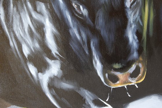 Bull power