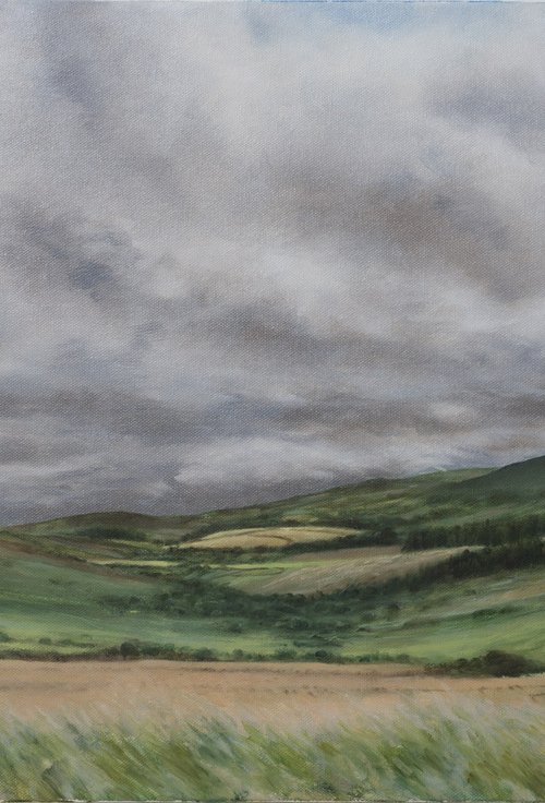 A DARTMOOR MOMENT by Duncan Hopkins
