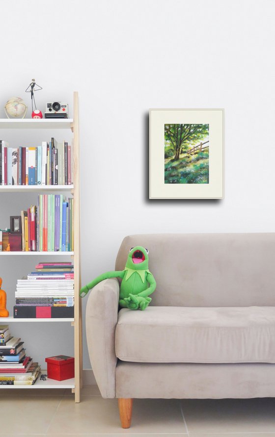 Morning light meadow