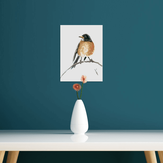 American Robin Bird Art