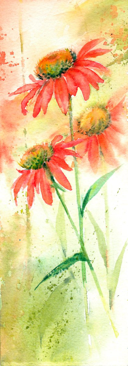 Echinacea - original floral watercolour painting by Anjana Cawdell