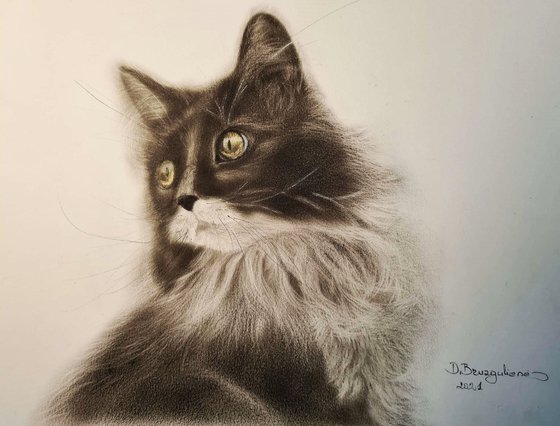 Oil painting reasilm realistic on paper cat ,, Leo,,