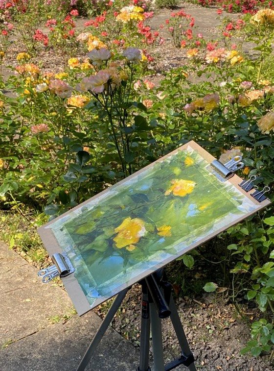 Summer Breath of Yellow Blooms