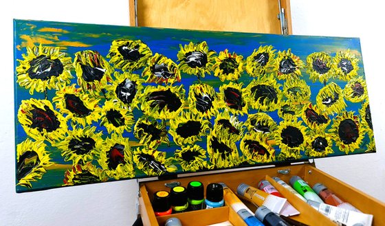 Blooming sunflowers 3