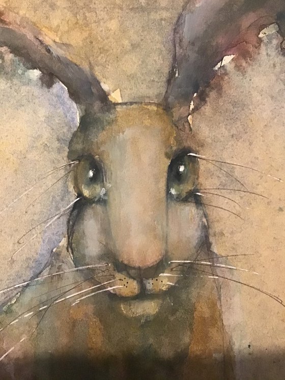 HETTIE HARE