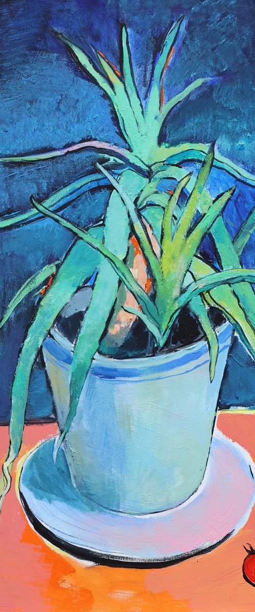 Aloe Vera and Tomato by Artem Andreichuk