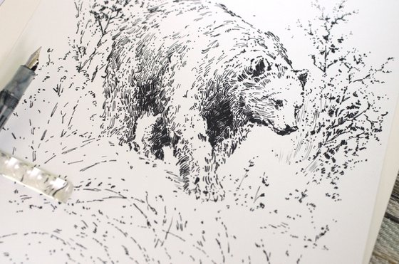 A Bear on a Walk