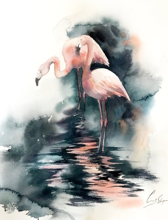 Flamingos