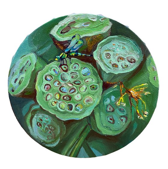 Lotus pods and seeds