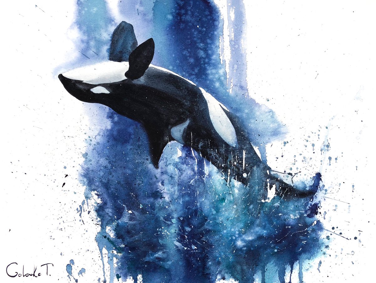 Killer whale by Tatiana Golovko