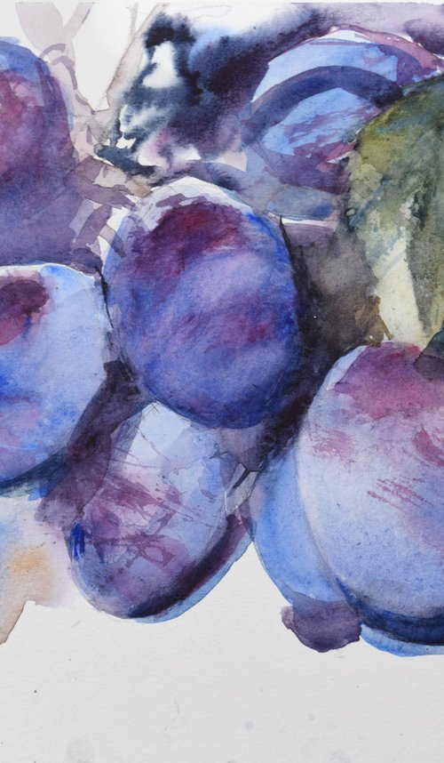 Plums on branch by Goran Žigolić Watercolors