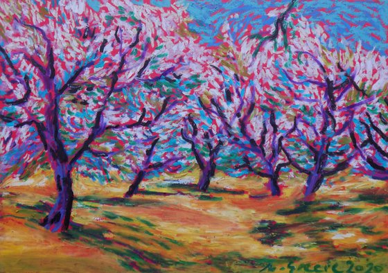 Spring orchard