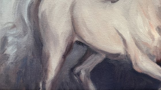 Arabian White (study)