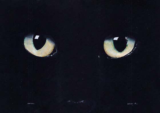 Black cat by night