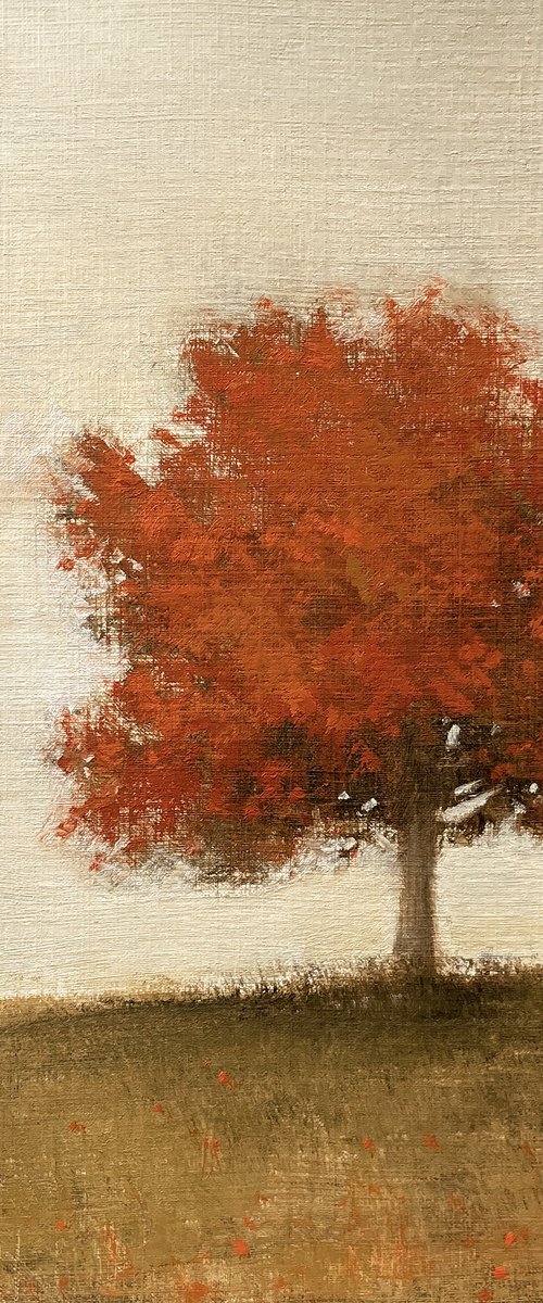 Red Maple Tree 230903 by Don Bishop