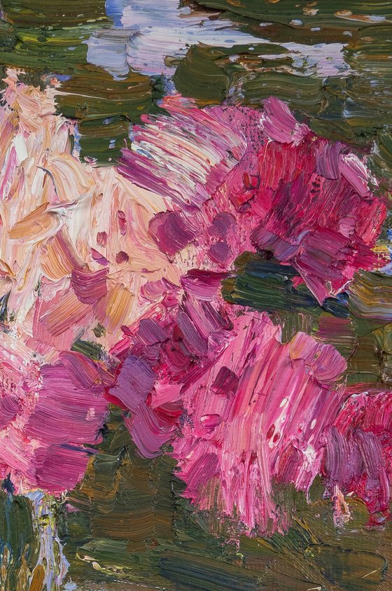 Peonies
