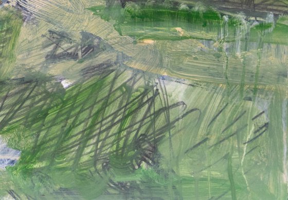 Pond 1