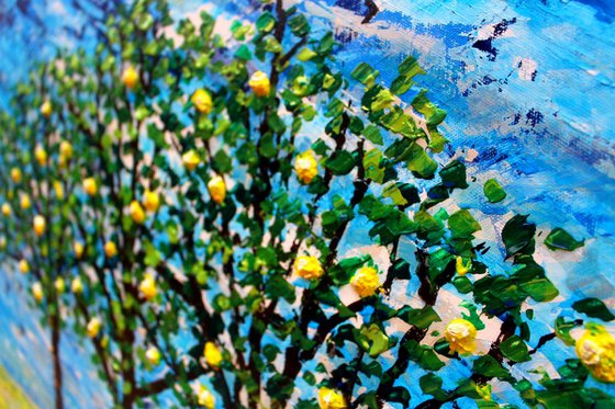 Springtime in Andalusia IV