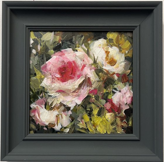 Summer Roses