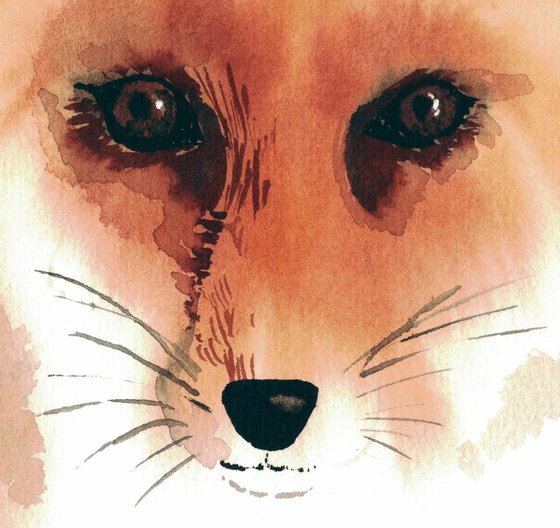 Fox's Eyes
