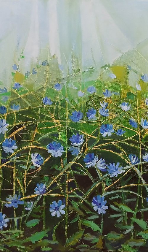 Wild chicory by Galya Koleva