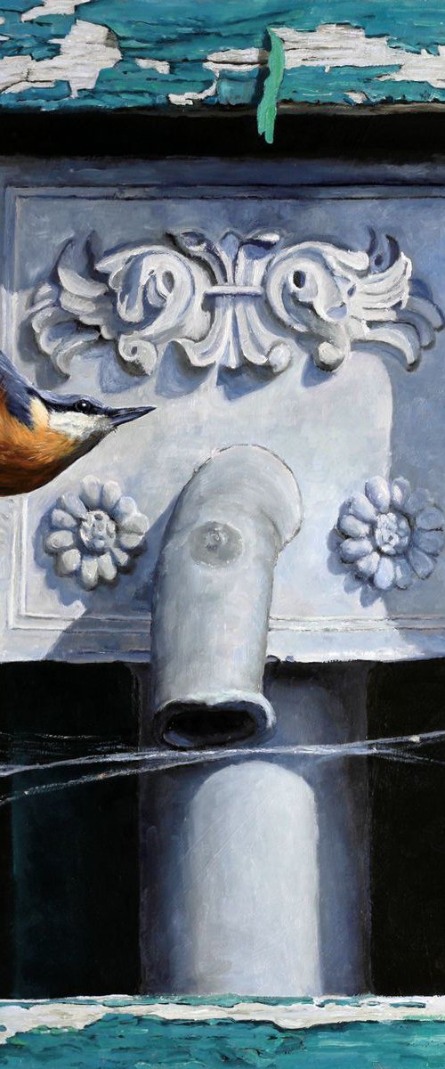 Where's Incey? (Nuthatch) by Andrew Schofield