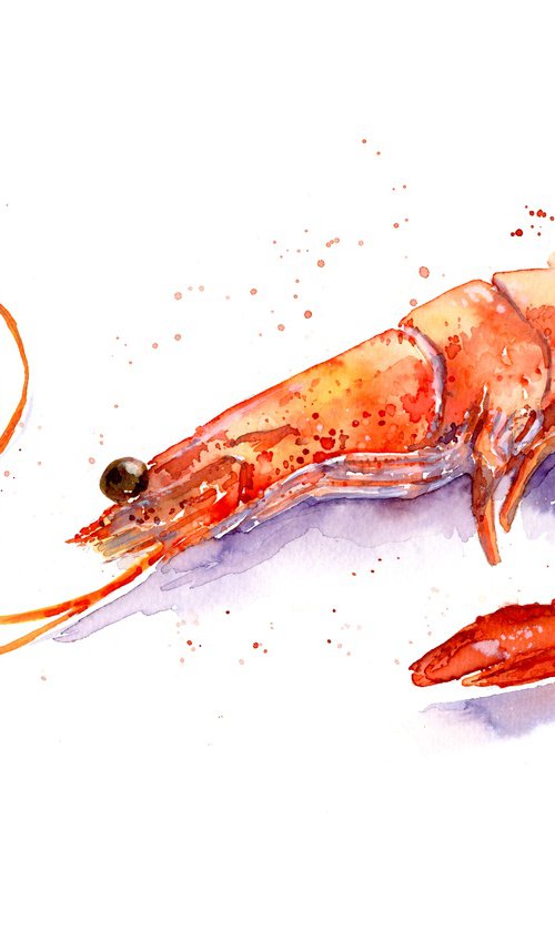 Shrimp Watercolour inks by Kathryn Coyle