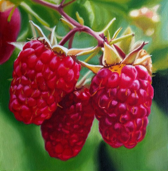 Raspberries painting