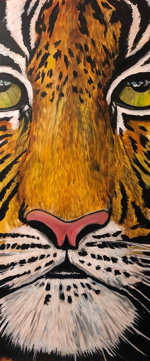 The Watchful Tiger by Aisha Haider