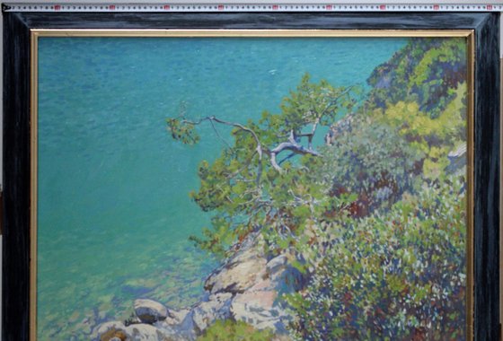 Pine in the Blue Lagoon