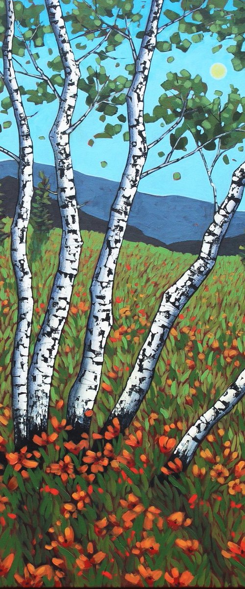 Birch Meadow by Sage Mountain Studio