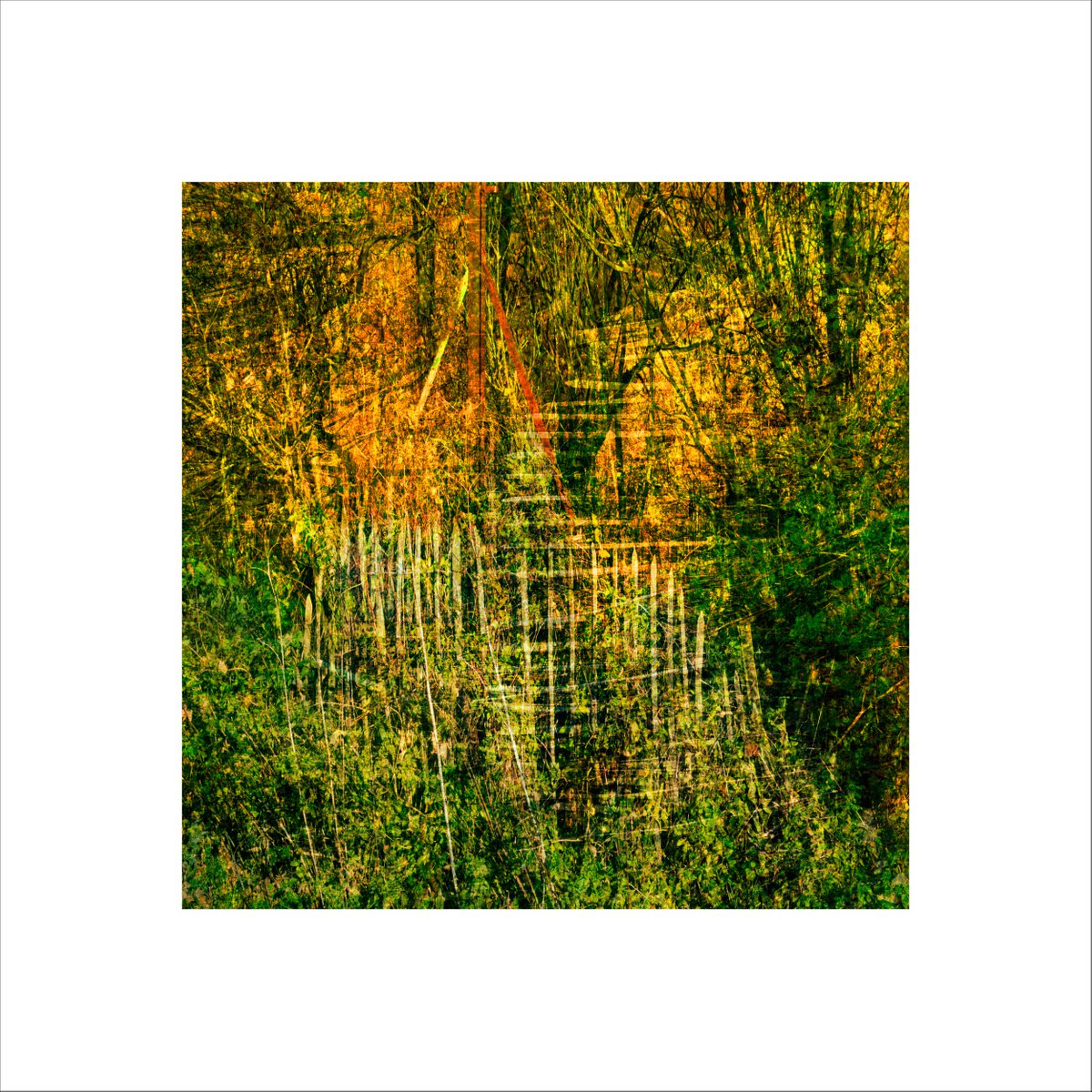 Abstract Landscape Photograph By Paul Harrison, 30 X 30", Signs #31, Original Artwork